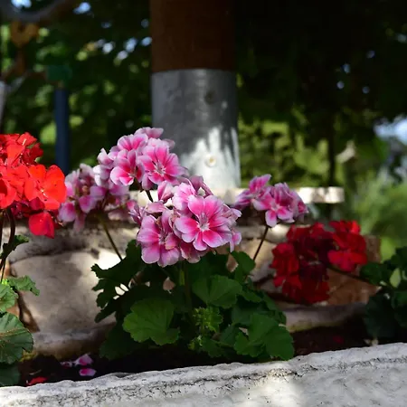 Romantic By The Sea With Panoramatic View * Donji Okrug (Ciovo)